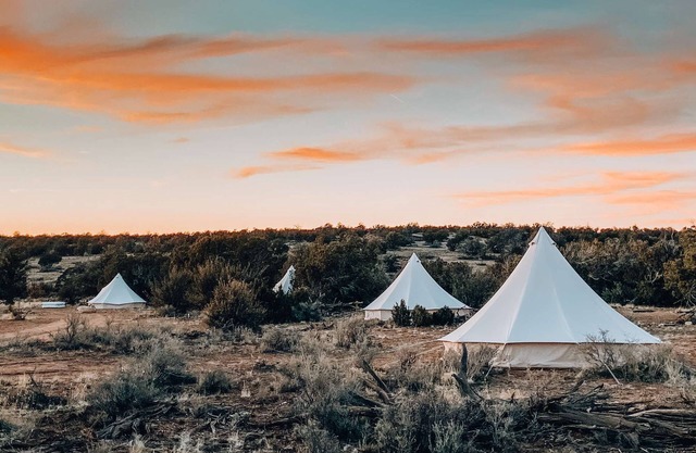 Tent Shared Find The Juniper Trees Sky 