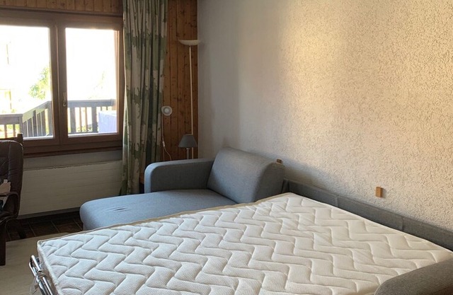 Four Valleys Haute Nendaz Valais nice apartment with swimming pool CH