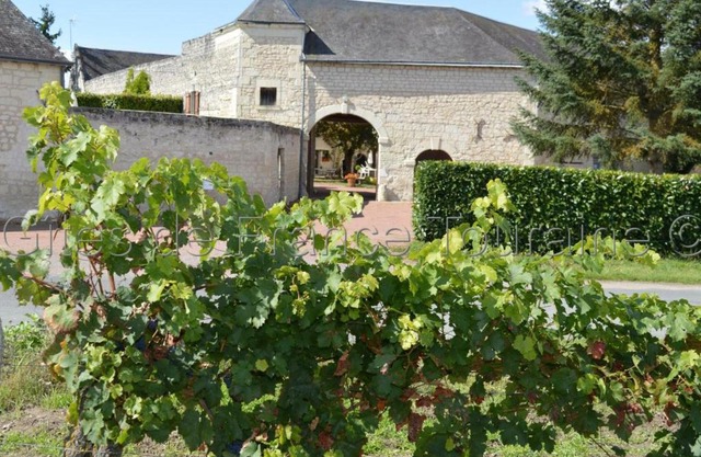 Ligré Pièces Personnes 