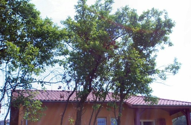 Gite Mugron, 2 bedrooms, 4 persons