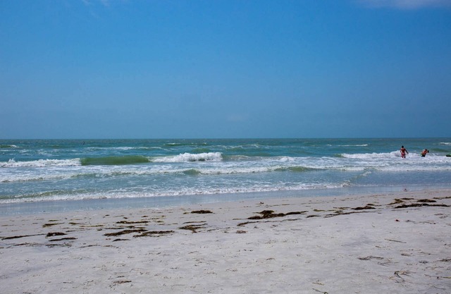 Royal Orleans Redington Beach 