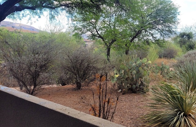 Hacienda in the desert. Tucson flair enhances the charm of this Greens condo