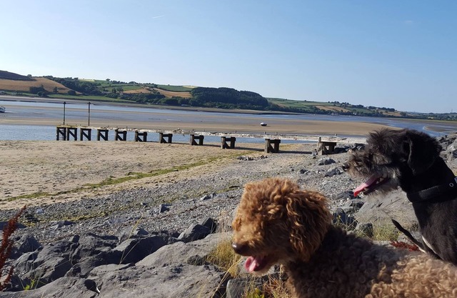 Hafan fferi, Ferryside, 1 bedroom cottage near the beach