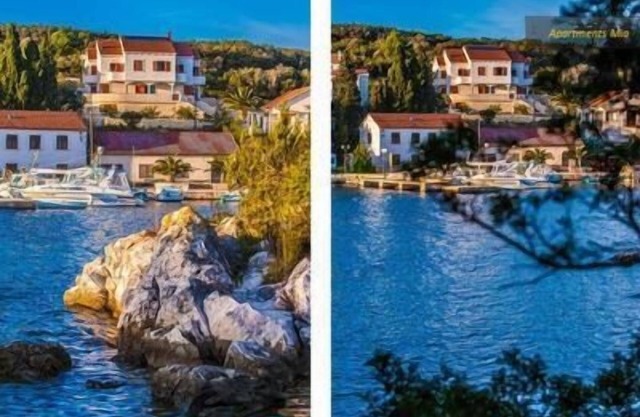 Holiday Molat Persons 