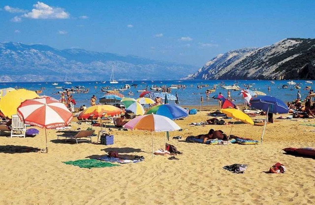 Holiday apartment near the Adriatic