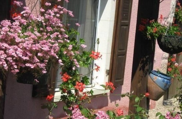 Holiday Brotte Lès Ray Persons Bedrooms 