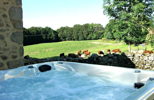 Holiday Roumégoux Persons Bedrooms 