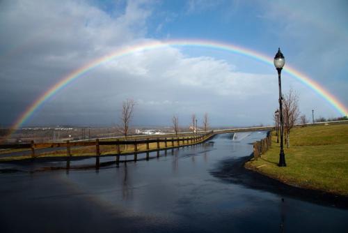 Holiday Inn Express East Greenbush Albany Skyline Ihg Hotel 
