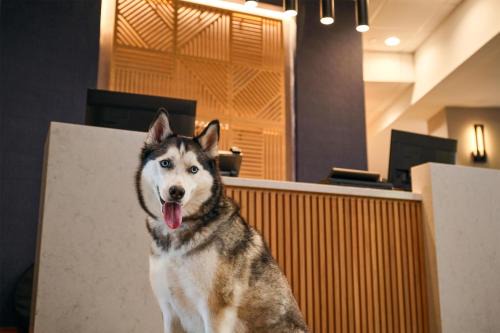 Hyatt Place 