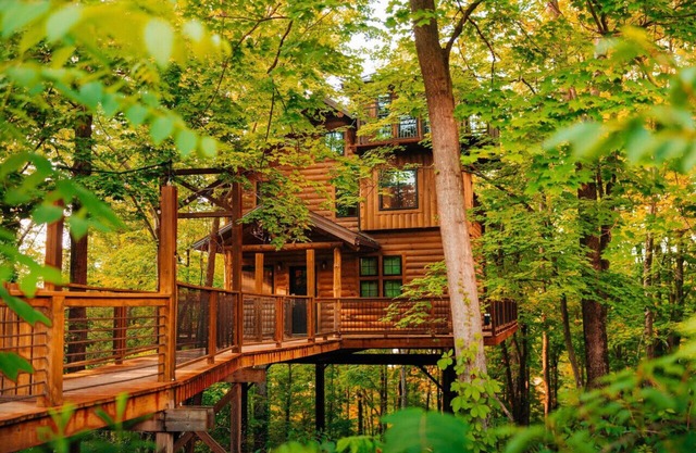 Incredible Treehouse with Breathtaking Views - Sleeps up to 6