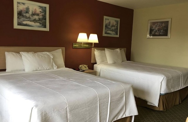 Just What You Were Looking For! 2 Serene Units, Free Parking & Breakfast, Pool