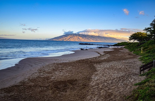 Kamaole Sands Ground 