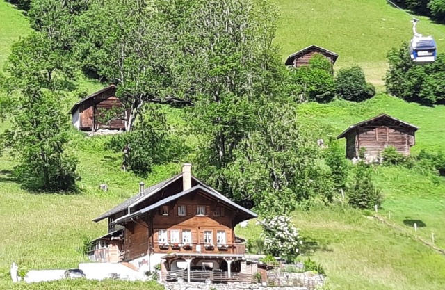 Kari Schüür 