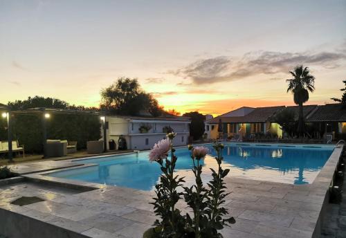 Le Soleil Camarguais 