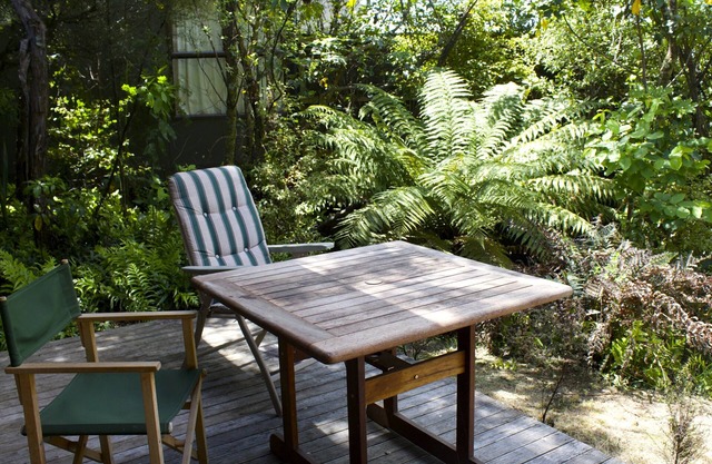 Lakefront At Kuratau Bach 