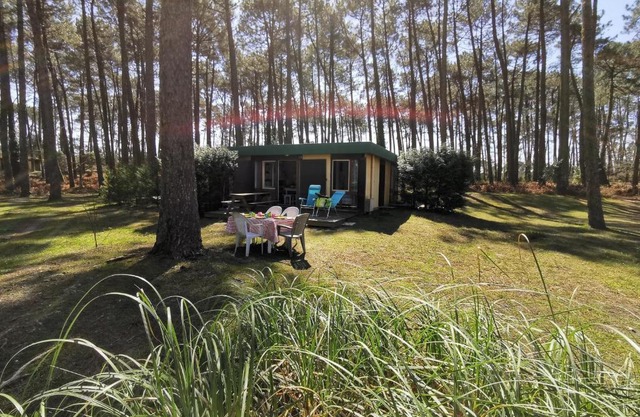 Les Villages sous les Pins, piscines chauffées, Les Arbousiers