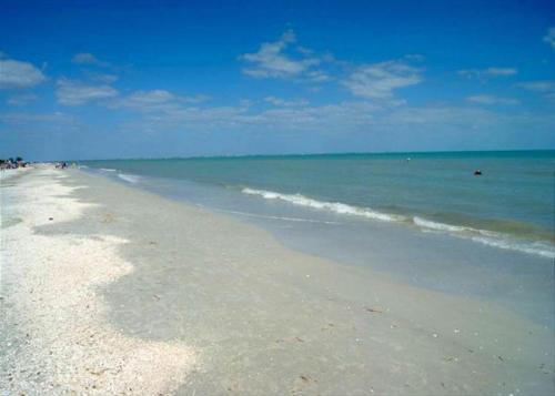 Loggerhead Cay 