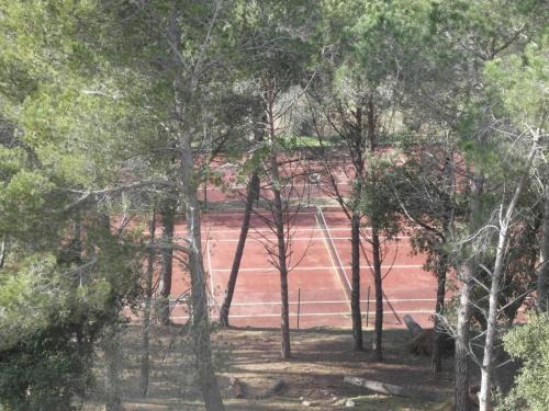 Los Pinos 