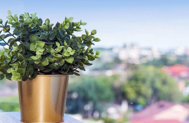 Luxurious and Peaceful Waterloo Apartment