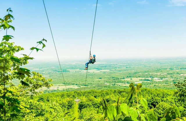 Tyrolean The Mountains 