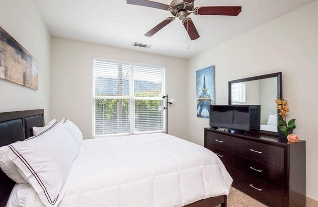 Luxury Downtown apartment