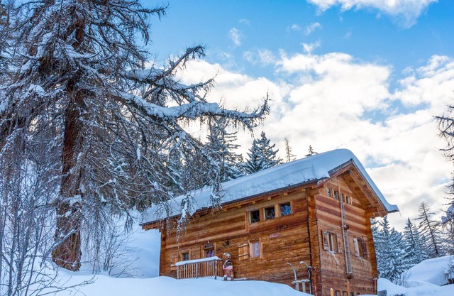 Magnificent large chalet on the slopes more information La gouille à l'ours