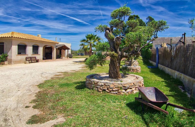 Masia Rural Ribes 