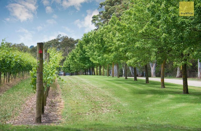 McCrae Beachside Retreat