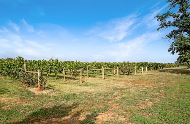 Milawa Vineyard Guesthouse 