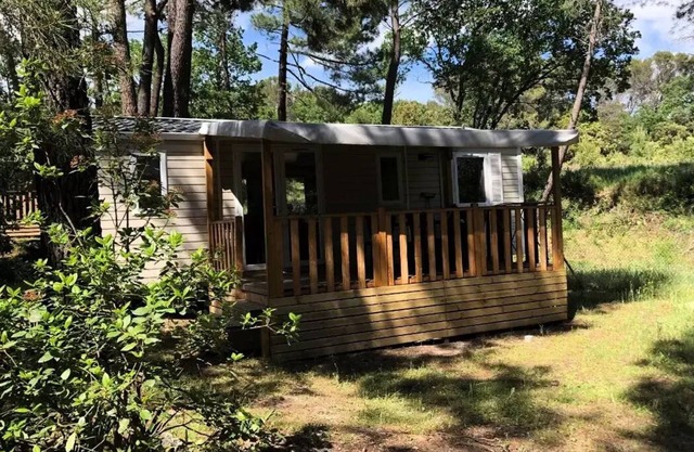 La Simioune Mobile Persons 