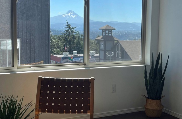 Modern loft downtown White Salmon #11