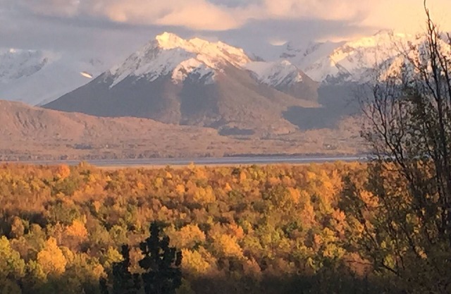 Mountain 