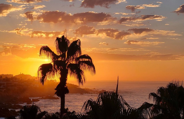 Misiones Del Cabo San Lucas 