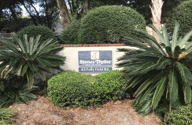 Stones Hilton Head 