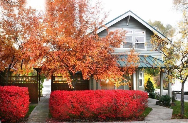 NW Broadway Downtown | Old Bend neighborhood, walk everywhere!