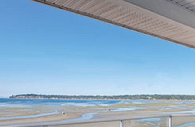 Ocean Front Resort . You will keep coming back for more!