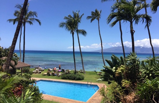 Oceanfront Condo in Paradise-Hale Mahina “mauiseaturtlecondo"