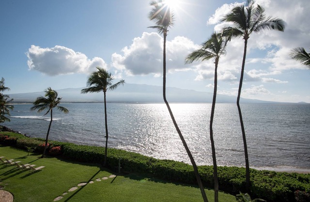 Maalaea Banyans 