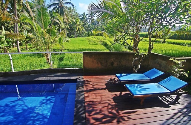 One Bedroom Ricefields View Villa Ubud #2