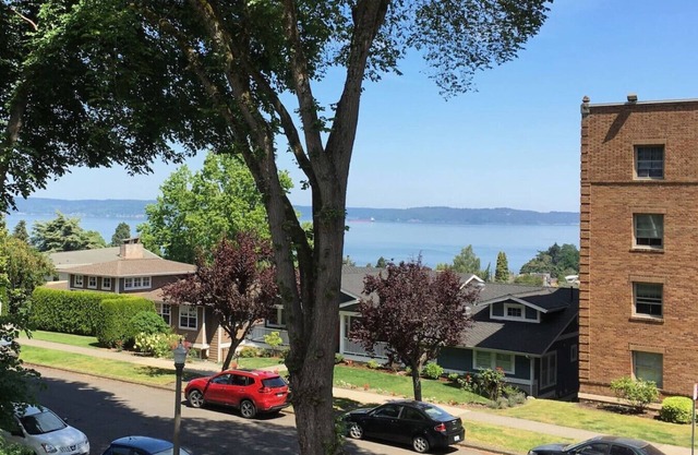 The Pacific Jacuzzi Bathtub 
