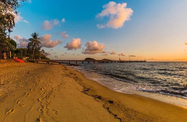 Palm Cove Accommodation 