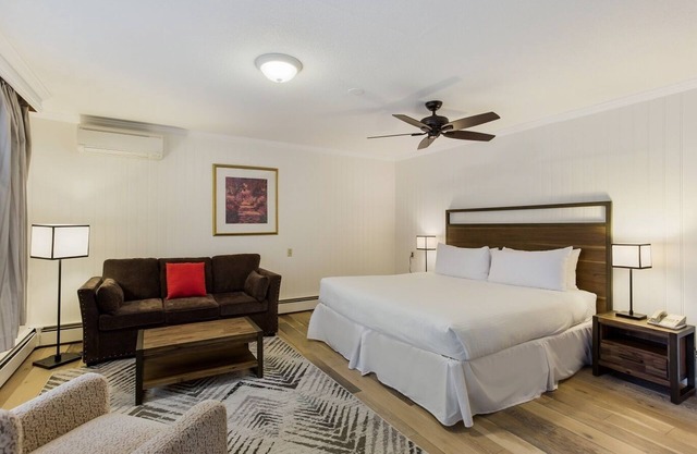 Palmer House Resort - Deluxe King Bed 4