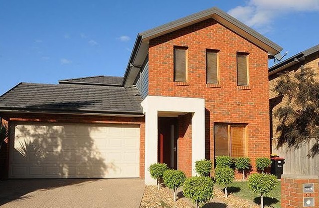 Pampas Grass Homestay 