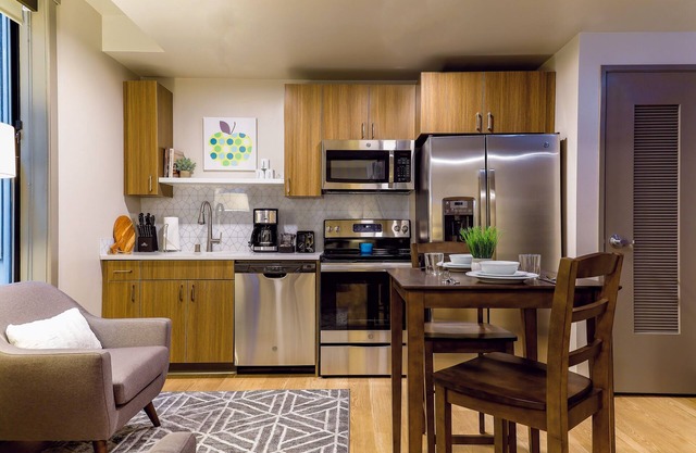 Peaceful 1 Bed Travel Apartment with High Speed WiFi