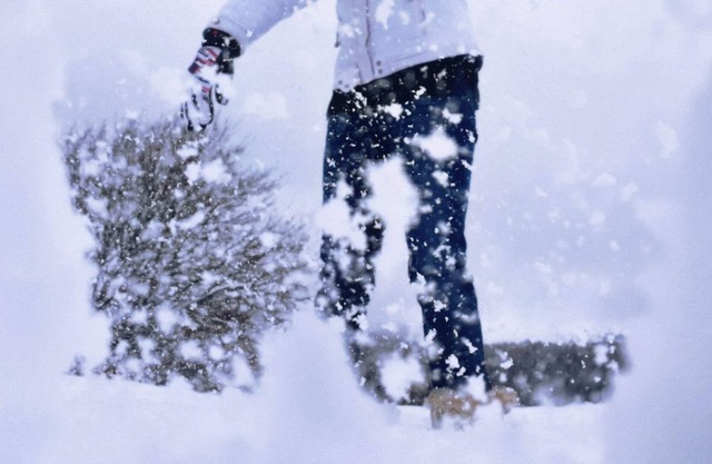 Ski Slopes Mountain Locker Superdévoluy 