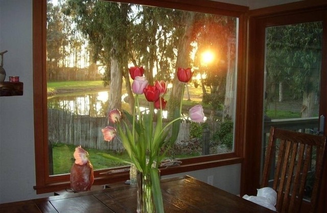 Pleasure Point Paradise! Beach and Lagoon Views!