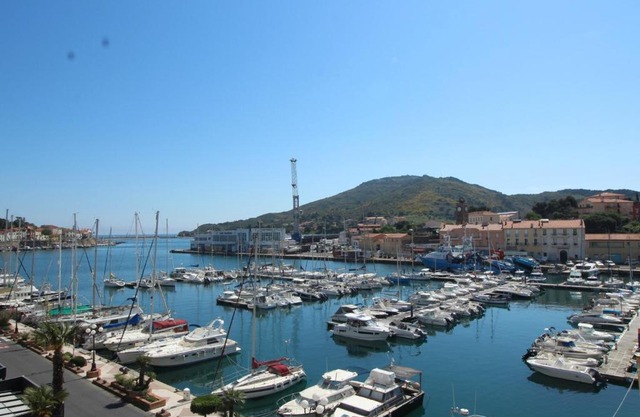 Port-Vendres - T2 climatisé avec parking privatif - FR-1-309-10