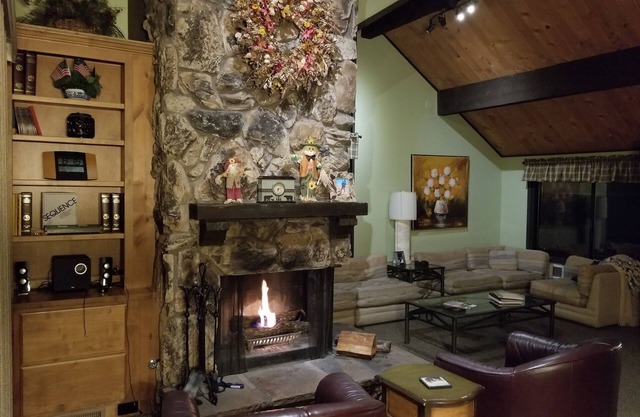 Escape All Seasons Bear 