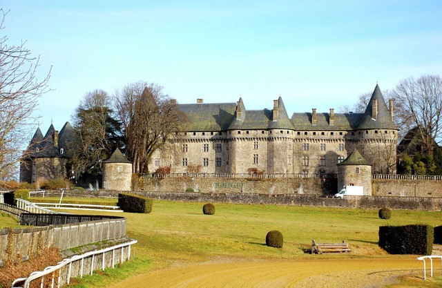 Quaint Cottage Juillac Garden 