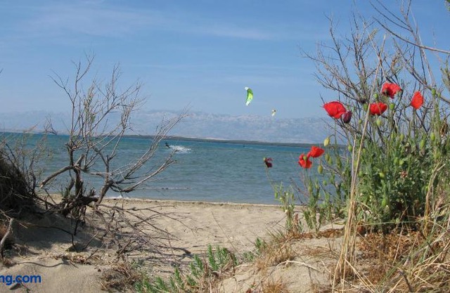 Queen beach apartment Sabunike Nin - green street II